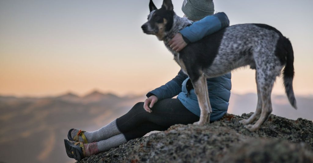 entdecken sie die beste auswahl an haustieren! von hunden und katzen bis hin zu exotischen tieren – alles, was sie für die pflege und das wohlbefinden ihres geliebten haustiers benötigen, finden sie hier.