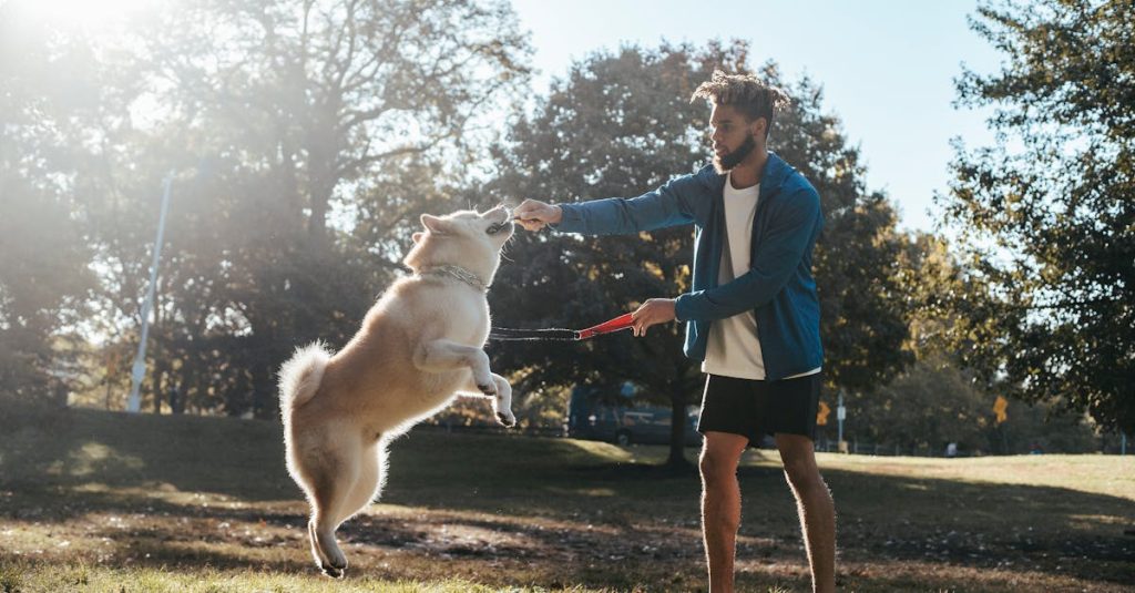 erfahren sie alles über effektives hundetraining – tipps, methoden und techniken für eine harmonische beziehung zwischen mensch und hund. beginnen sie noch heute mit der erziehung ihres vierbeinigen freundes!