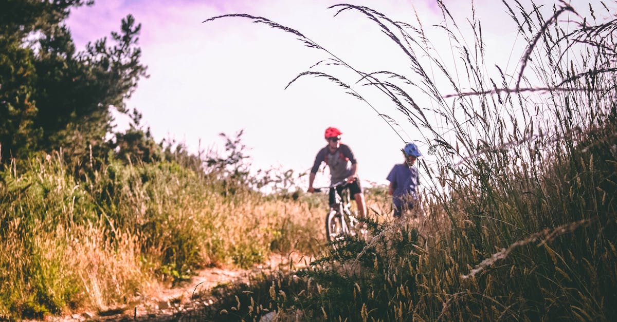 entdecken sie die welt des radfahrens! von spannenden rennrad-touren bis hin zu entspannten fahrradausflügen in der natur - erleben sie freiheit und abenteuer auf zwei rädern. perfekt für sportbegeisterte und naturfreunde!