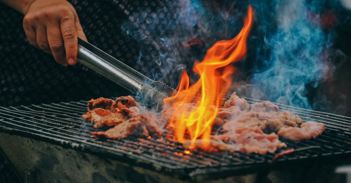 entdecken sie die freude am kochen mit kreativen rezepten und praktischen tipps. lassen sie ihrer fantasie freien lauf in der küche und genießen sie köstliche gerichte für jeden anlass.