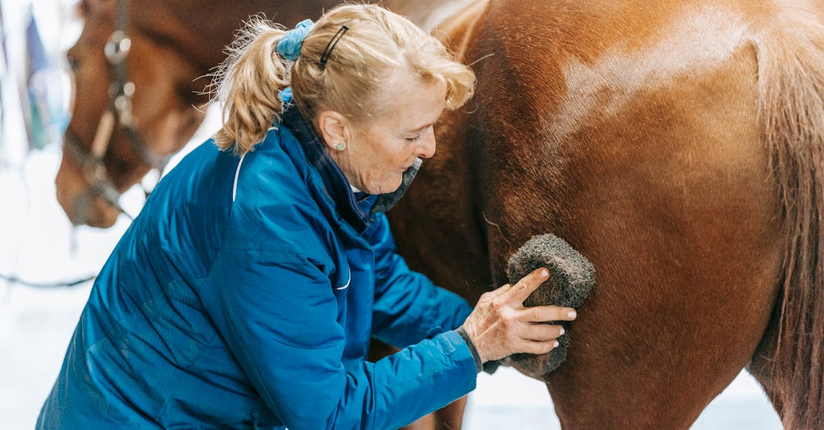 erfahren sie alles über die optimale pferdepflege, von fütterung und gesundheitsmanagement bis hin zu pflege- und trainingsmethoden, um das wohlbefinden ihres pferdes zu gewährleisten.